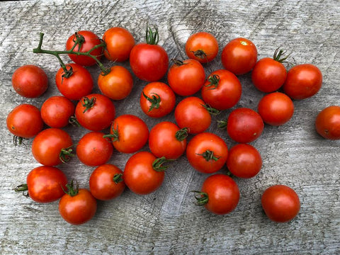 Cherry Tomato