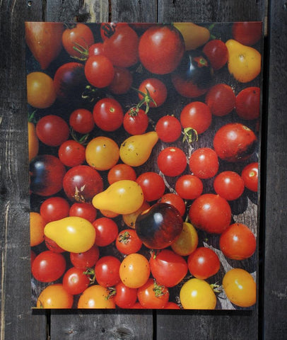 Canvas Print Photograph "Tomatoes"